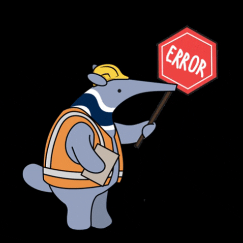 Error Image